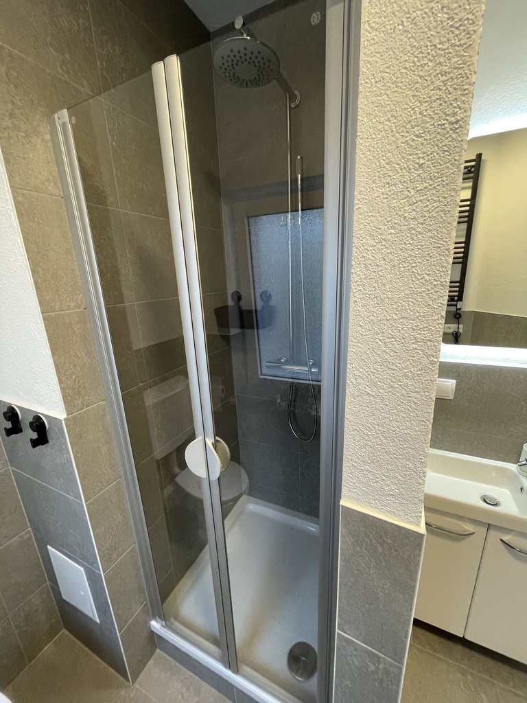 Badezimmer mit Dusche und WC