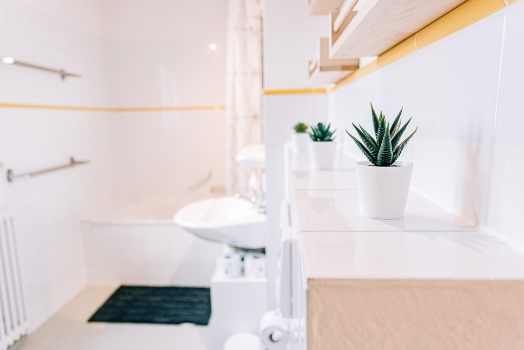 Badezimmer mit Badewanne / Duschwanne