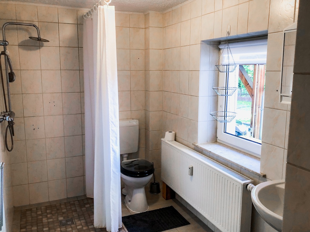 ebenerdige Dusche mit Toilette
